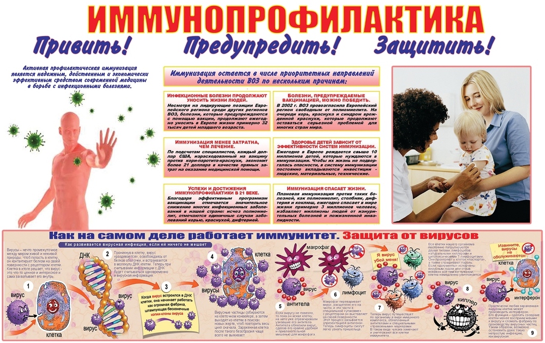 Иммунопрофилактика Иммунопрофилактика