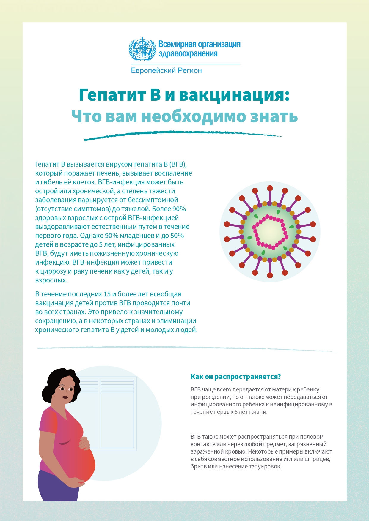 Гепатит Гепатит